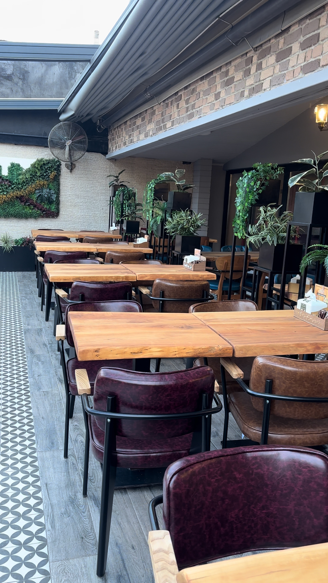 ORGANİZASYON